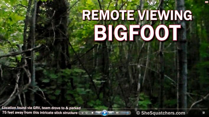 Remote Viewing Bigfoot - SheSquatchers Cool Finds - SheSquatchers.com/blog